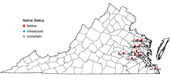 Locations ofChamaecrista fasciculata (Michx.) Greene var. macrosperma (Fernald) C. F. Reed in Virginia