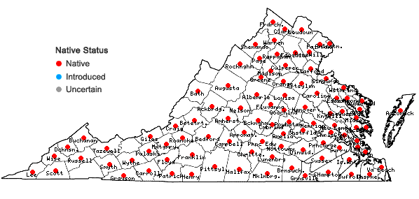 Locations ofChamaecrista nictitans (L.) Moench var. nictitans in Virginia