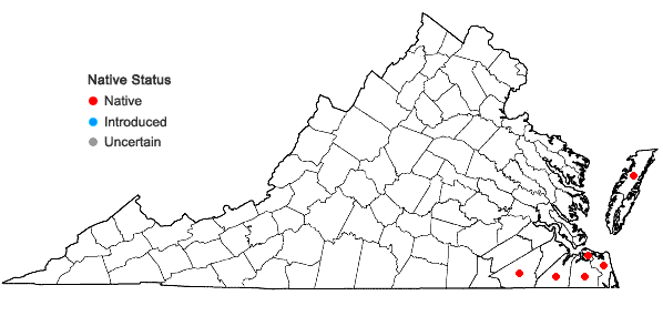 Locations ofChamaecyparis thyoides (L.) BSP in Virginia