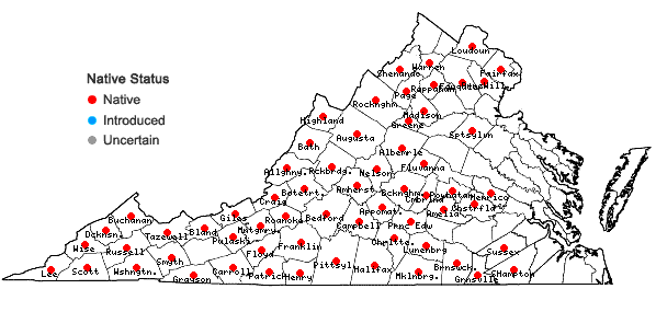 Locations ofChamaelirium luteum (L.) Gray in Virginia