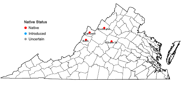 Locations ofChamaepericlymenum canadense (L.) Ascherson & Graebner in Virginia