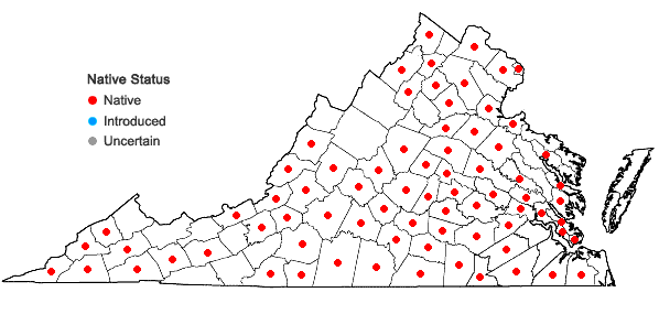 Locations ofChasmanthium latifolium (Michx.) Yates in Virginia