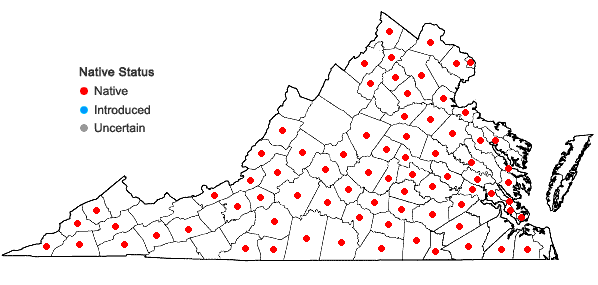 Locations ofChasmanthium latifolium (Michx.) Yates in Virginia