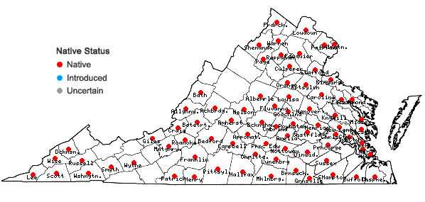 Locations ofChasmanthium latifolium (Michx.) Yates in Virginia