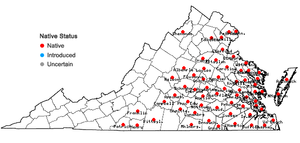 Locations ofChasmanthium laxum (L.) Yates in Virginia