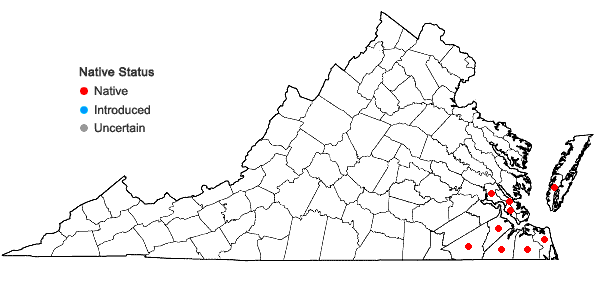 Locations ofChasmanthium sessiliflorum (Poir.) Yates in Virginia