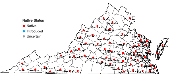 Locations ofCheilolejeunea clypeata (Schwein.) W. Ye & R. L. Zhu in Virginia