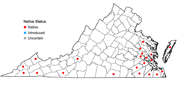 Locations ofCheilolejeunea unciloba (Lindenb.) Malombe             in Virginia