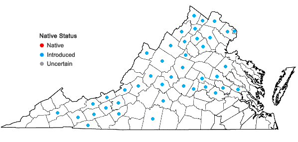 Locations ofChelidonium majus L. in Virginia
