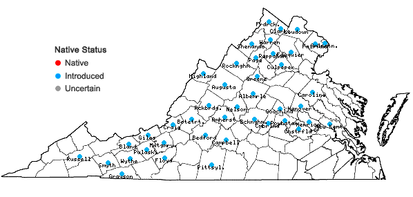 Locations ofChelidonium majus L. in Virginia