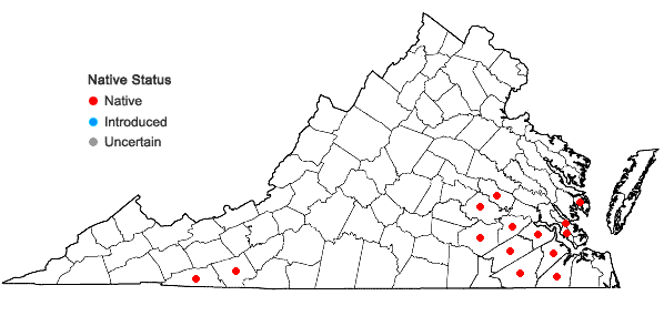 Locations ofChelone cuthbertii Small in Virginia