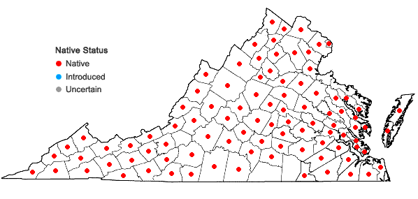 Locations ofChelone glabra L. in Virginia