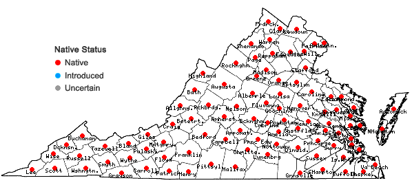 Locations ofChelone glabra L. in Virginia