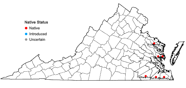 Locations ofChelone obliqua L. var. obliqua in Virginia