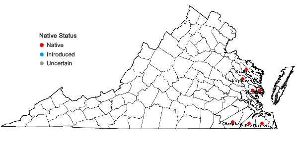 Locations ofChelone obliqua L. var. obliqua in Virginia