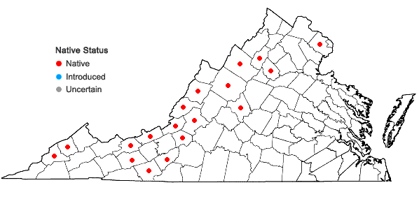 Locations ofChenopodiastrum simplex (Torrey) S. Fuentes, Uotila, & Borsch in Virginia