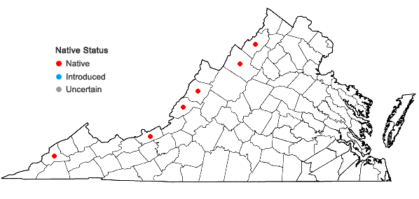 Locations ofChenopodium foggii Wahl in Virginia