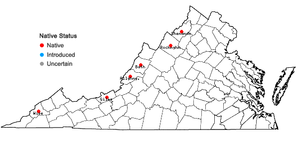 Locations ofChenopodium foggii Wahl in Virginia