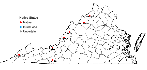 Locations ofChenopodium foggii Wahl in Virginia