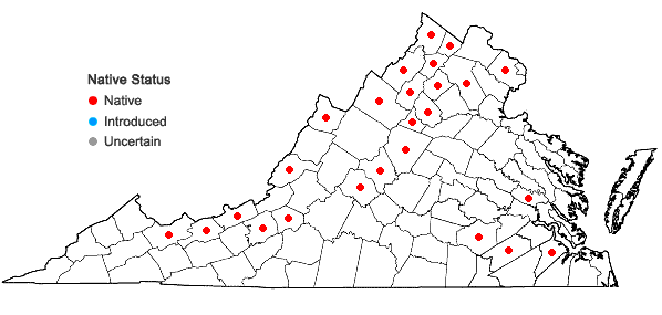 Locations ofChenopodium standleyanum Aellen in Virginia