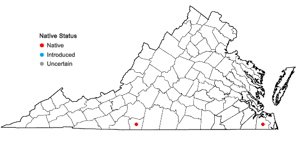 Locations ofChiloscyphus bicuspidatus (Steph.) J.J. Engel & R.M. Schust. in Virginia