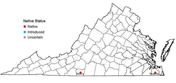 Locations ofChiloscyphus bicuspidatus (Steph.) J.J. Engel & R.M. Schust. in Virginia