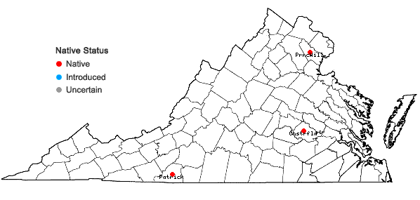 Locations ofChiloscyphus pallescens (Ehrh. ex Hoffm.) Dumort. var. pallescens in Virginia