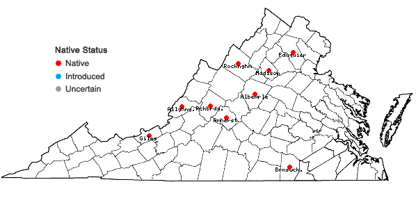 Locations ofChiloscyphus pallescens (Ehrh. ex Hoffm.) Dumort. var. fragilis (Roth) Muell. Frib. ex R.M. Schust. in Virginia