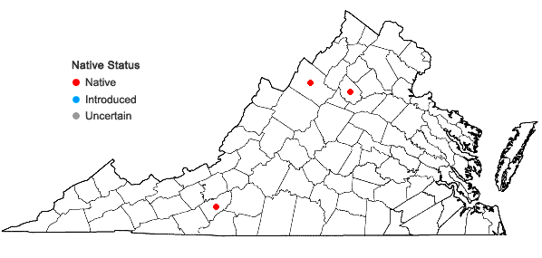 Locations ofChiloscyphus polyanthos (L.) Corda var. rivularis (Schrad.) Nees in Virginia