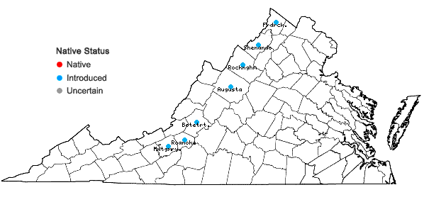 Locations ofChloris verticillata Nutt. in Virginia
