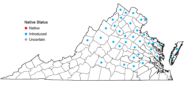 Locations ofChondrilla juncea L. in Virginia