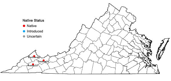 Locations ofChrysogonum repens (Cassini) Nesom in Virginia