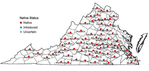 Locations ofChrysogonum virginianum L. in Virginia
