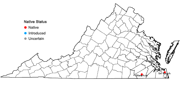 Locations ofChrysopsis gossypina (Michx.) Ell. in Virginia