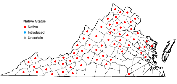 Locations ofChrysosplenium americanum Schwein. ex Hook. in Virginia