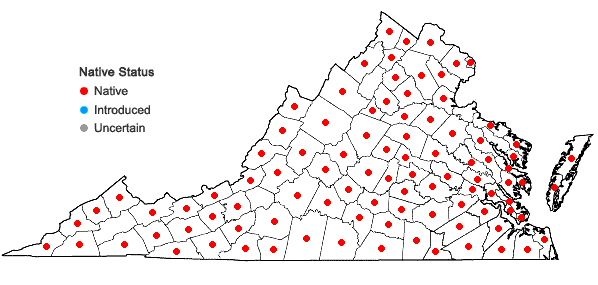 Locations ofCinna arundinacea L. in Virginia