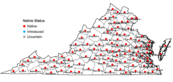 Locations ofCinna arundinacea L. in Virginia