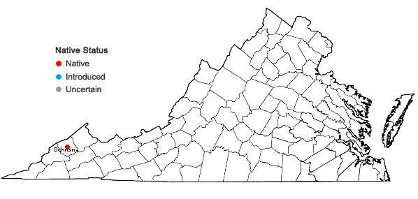 Locations ofCirriphyllum piliferum (Hedw.) Grout in Virginia