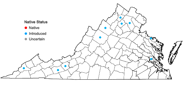 Locations ofCirsium arvense (L.) Scop. var. horridum Wimmer & Graebner in Virginia