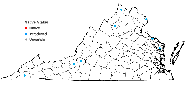 Locations ofCirsium arvense (L.) Scop. var. arvense in Virginia