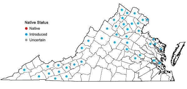 Locations ofCirsium arvense (L.) Scop. in Virginia