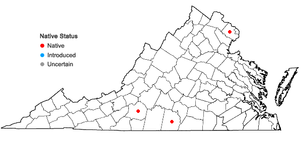 Locations ofCirsium carolinianum (Walt.) Fern. & Schub. in Virginia