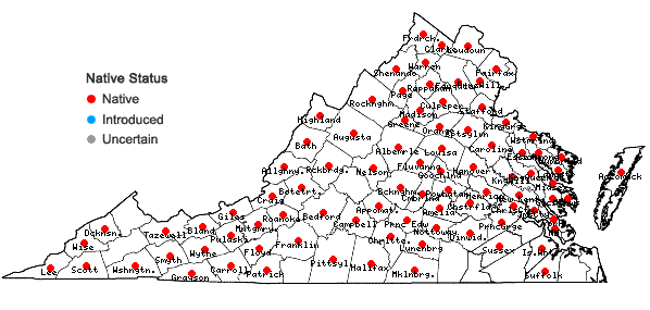 Locations ofCirsium discolor (Muhl. ex Willd.) Spreng. in Virginia