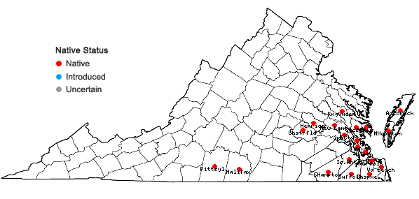 Locations ofCirsium horridulum Michx. var. horridulum in Virginia