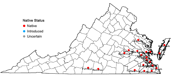 Locations ofCirsium horridulum Michx. var. horridulum in Virginia