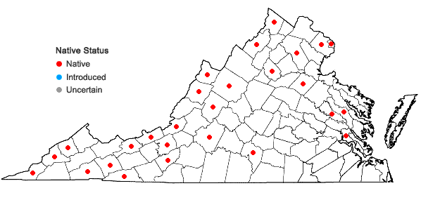 Locations ofCirsium muticum Michx. in Virginia