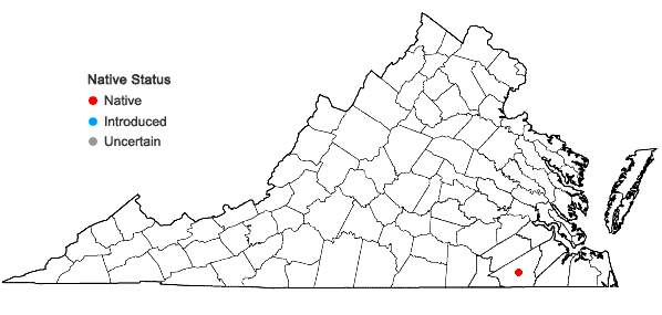 Locations ofCirsium repandum Michx. in Virginia