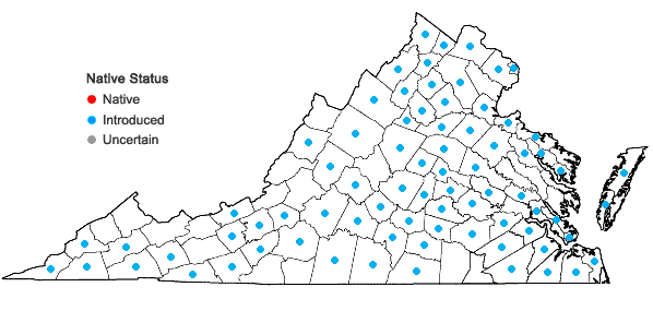 Locations ofCirsium vulgare (Savi) Ten. in Virginia