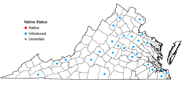 Locations ofCitrus trifoliata L. in Virginia