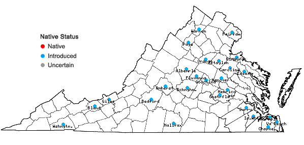 Locations ofCitrus trifoliata L. in Virginia